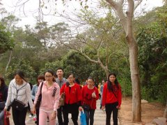 鹭达眼镜二十周年庆踏青活动